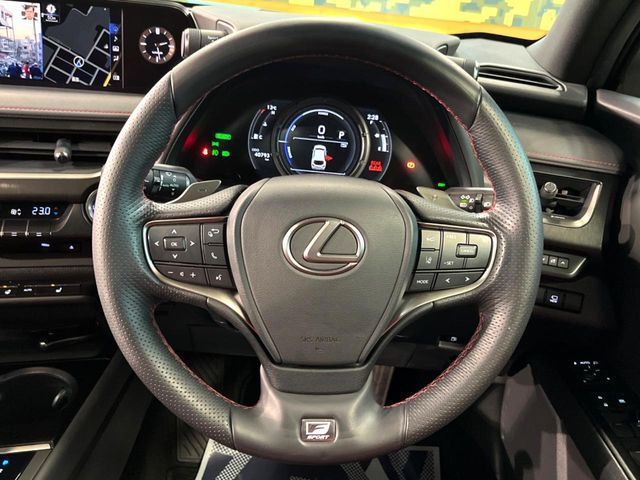TOYOTA LEXUS UX250H 2021 Image 31