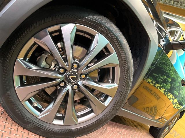 TOYOTA LEXUS UX250H 2021 Image 31