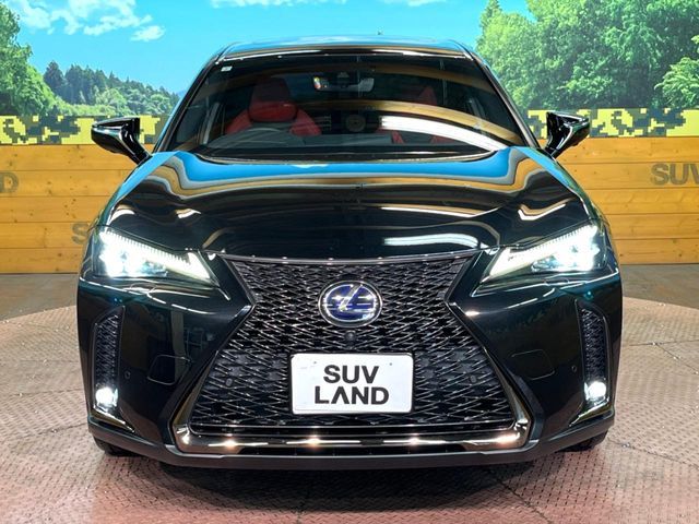 TOYOTA LEXUS UX250H 2021 Image 31