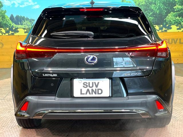 TOYOTA LEXUS UX250H 2021 Image 31