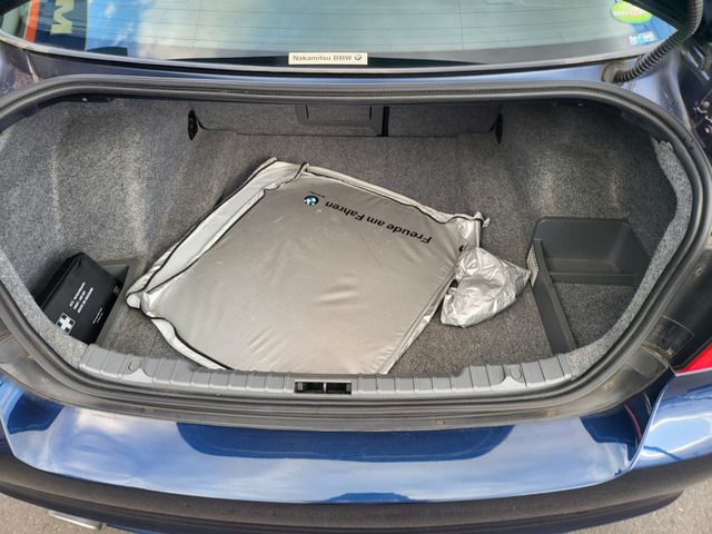 BMW 3SERIES SEDAN 2010 Image 31