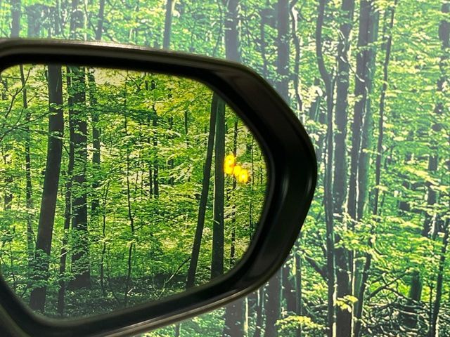 TOYOTA C-HR 2017 Image 31