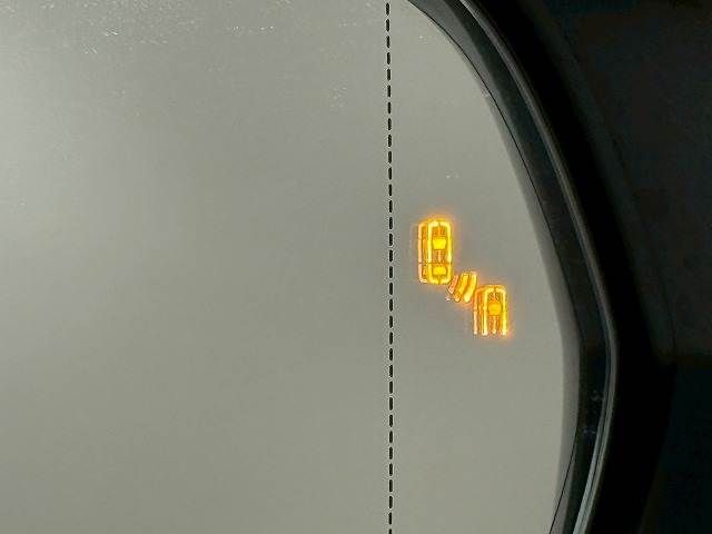 TOYOTA LEXUS NX300H AWD 2018 Image 31