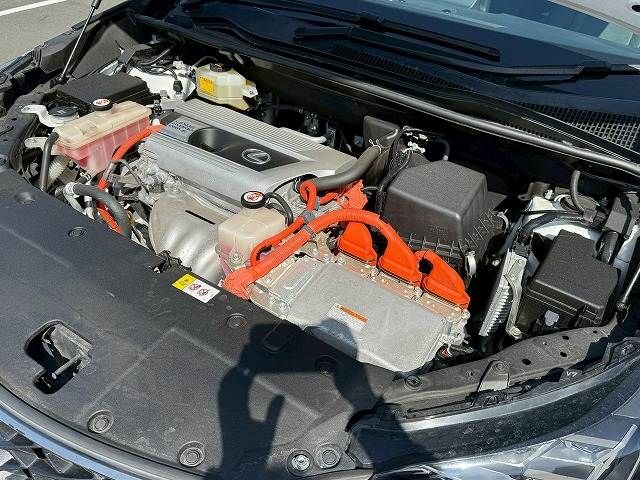 TOYOTA LEXUS NX300H AWD 2018 Image 31