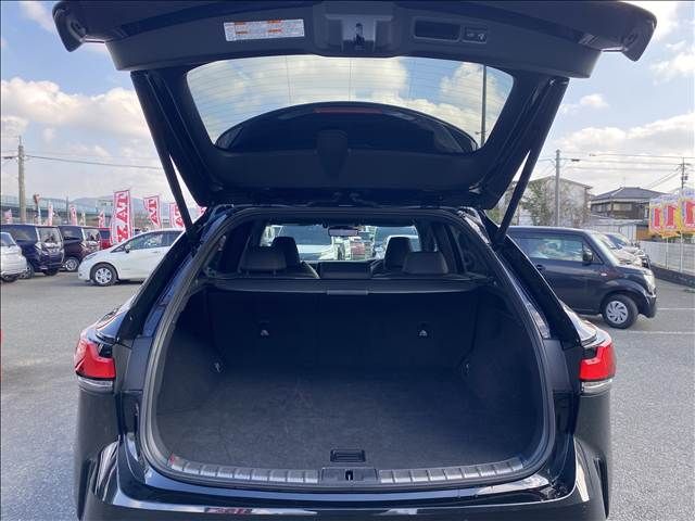 TOYOTA LEXUS RX500H 2023 Image 31