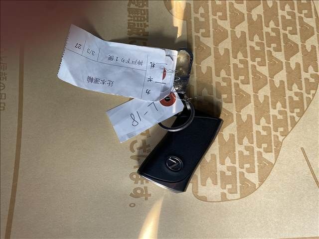 TOYOTA LEXUS RX500H 2023 Image 31