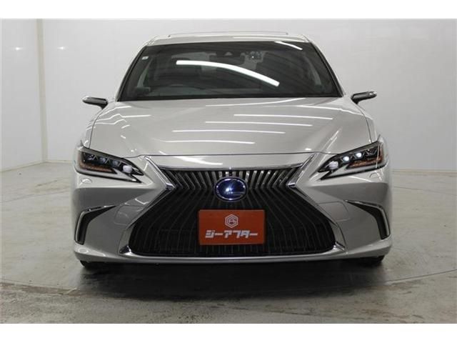 TOYOTA LEXUS ES300H 2019 Image 31