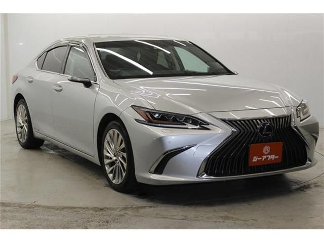 TOYOTA LEXUS ES300H 2019 Image 31