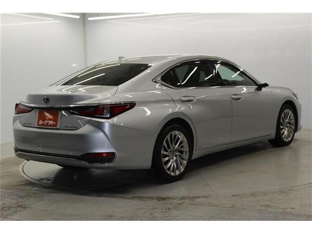 TOYOTA LEXUS ES300H 2019 Image 31