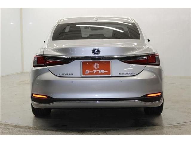 TOYOTA LEXUS ES300H 2019 Image 31