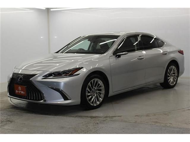 TOYOTA LEXUS ES300H 2019 Image 31