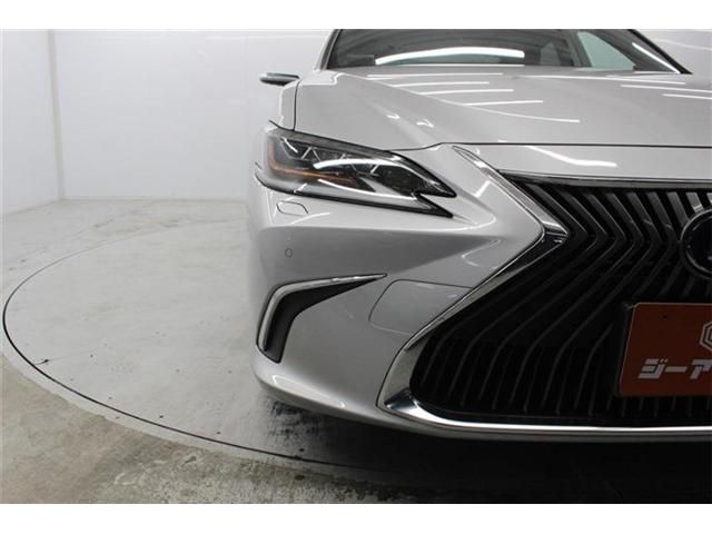 TOYOTA LEXUS ES300H 2019 Image 31