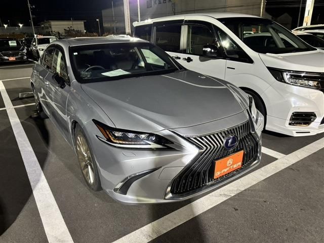 TOYOTA LEXUS ES300H 2019 Image 31