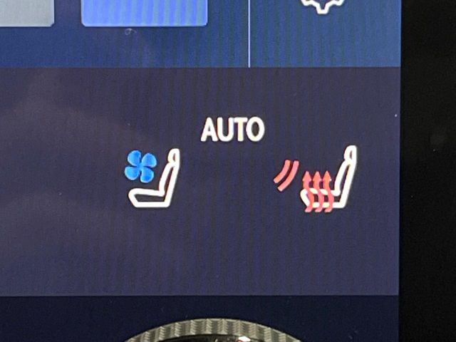 TOYOTA LEXUS RX350H 2023 Image 31