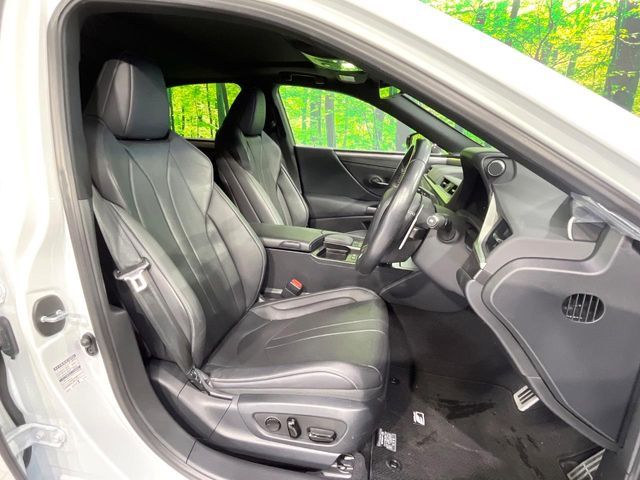 TOYOTA LEXUS ES300H 2021 Image 31