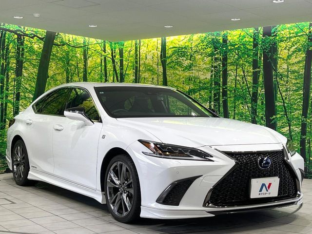 TOYOTA LEXUS ES300H 2021 Image 31