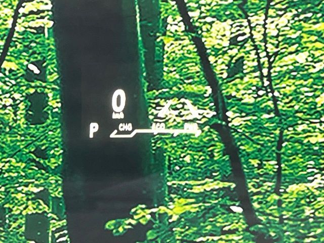 TOYOTA LEXUS RX450H AWD 2015 Image 31