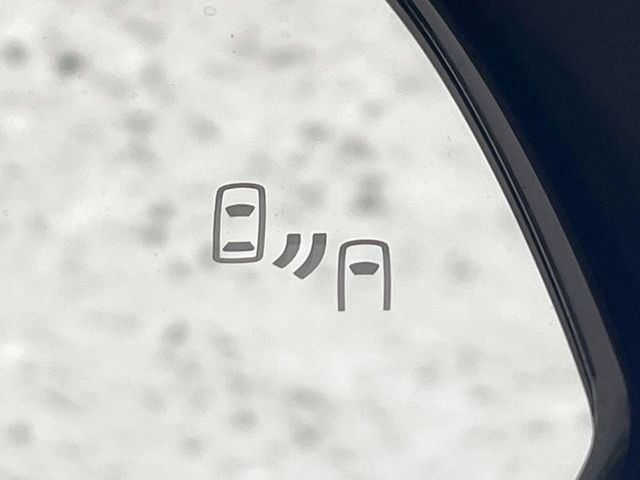 TOYOTA RAV4 HYBRID 4WD 2019 Image 31