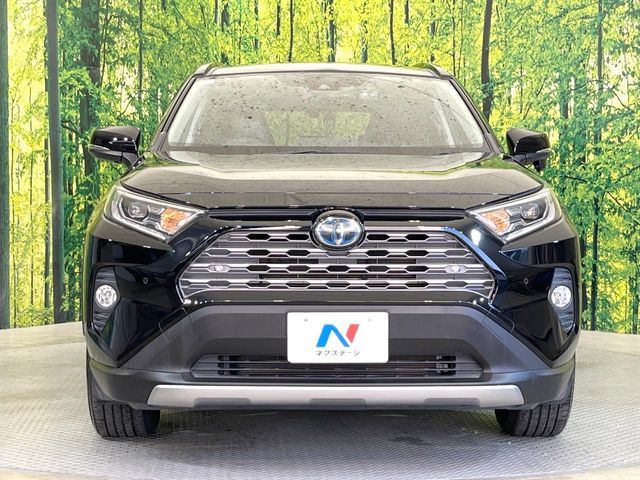 TOYOTA RAV4 HYBRID 4WD 2019 Image 31