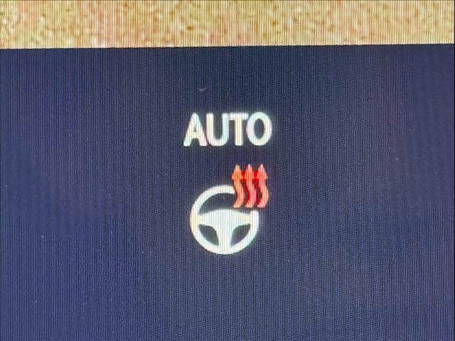 TOYOTA LEXUS RX350H 2024 Image 31