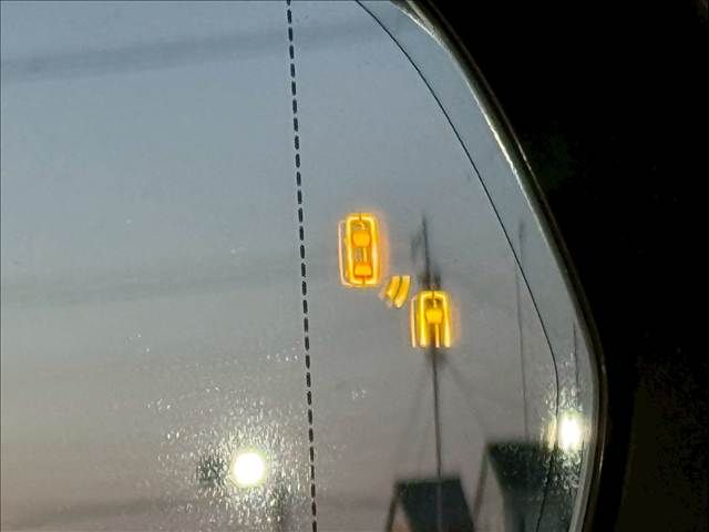 TOYOTA LEXUS RX350H 2024 Image 31