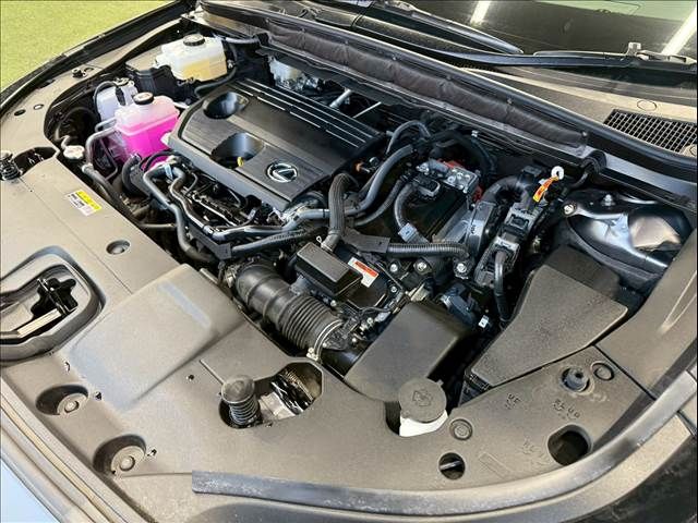 TOYOTA LEXUS RX350H 2024 Image 31