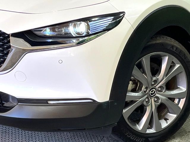 MAZDA CX-30 2019 Image 31