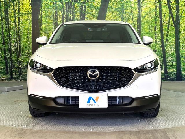 MAZDA CX-30 2019 Image 31
