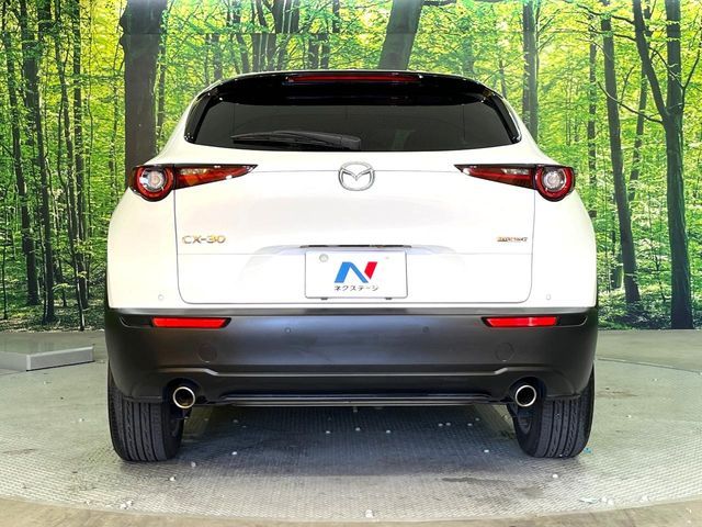 MAZDA CX-30 2019 Image 31