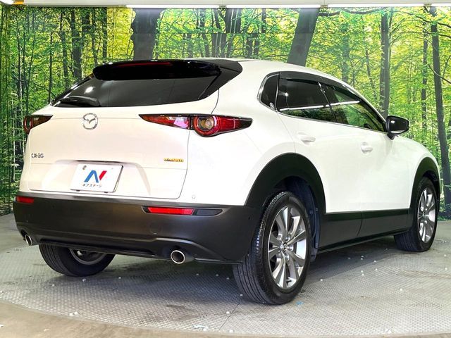 MAZDA CX-30 2019 Image 31