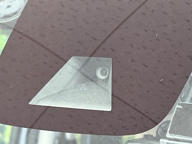 NISSAN DAYZ ROOX 2019 Image 31