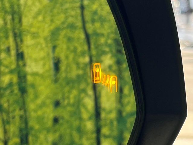 TOYOTA RAV4 4WD 2024 Image 31