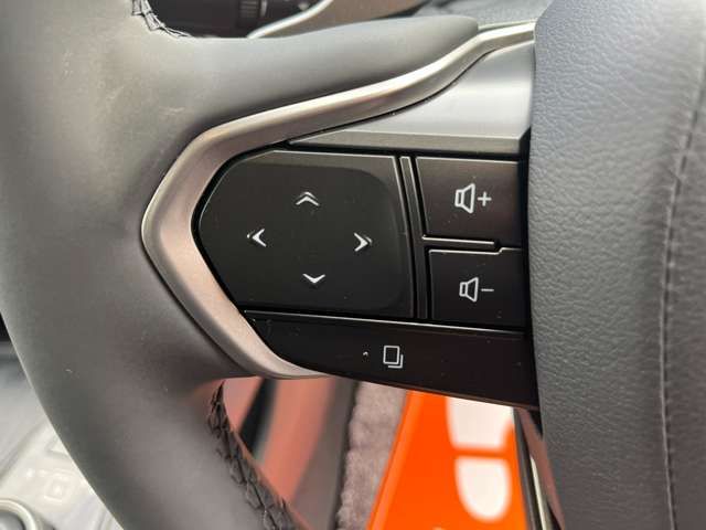 TOYOTA LEXUS RZ450E 2023 Image 31