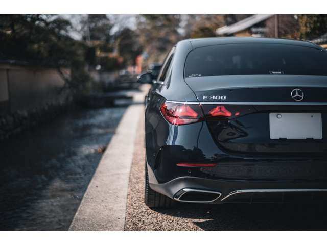 MERCEDES BENZ E CLAS 2024 Image 31