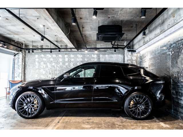 ASTON MARTIN SUV 2023 Image 31