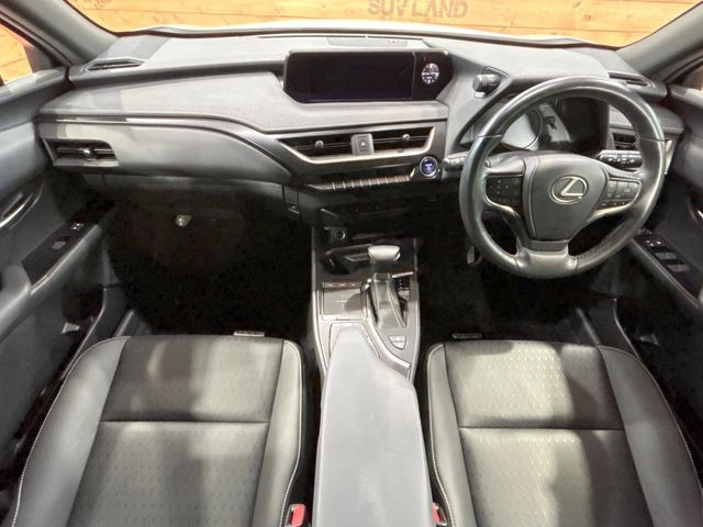 TOYOTA LEXUS UX250H 2019 Image 31