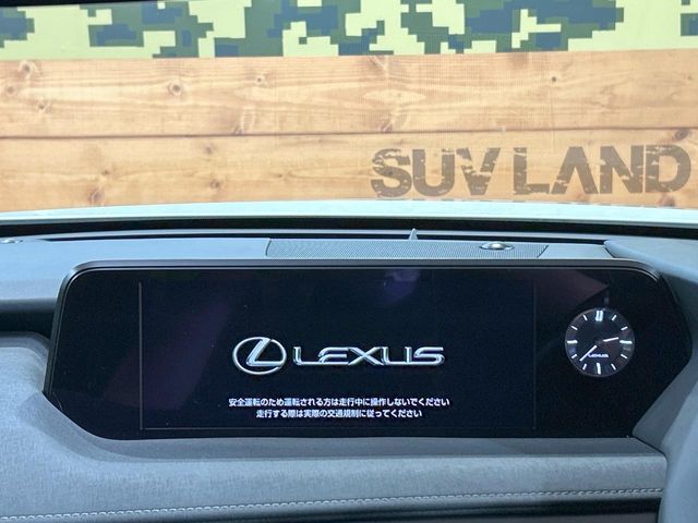 TOYOTA LEXUS UX250H 2019 Image 31