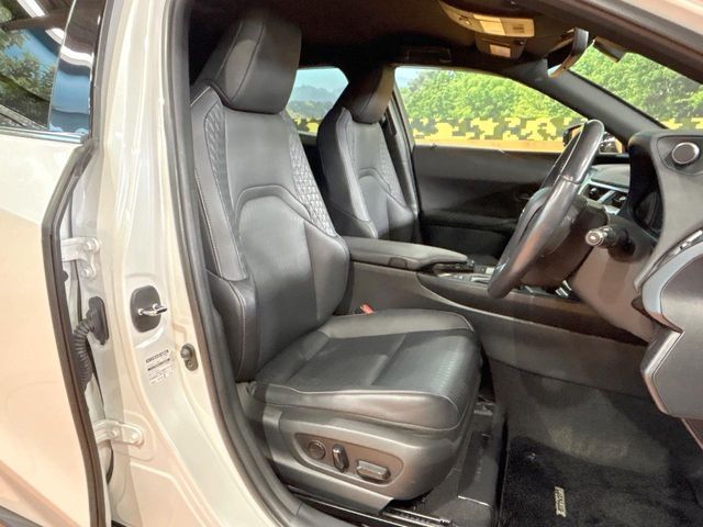 TOYOTA LEXUS UX250H 2019 Image 31