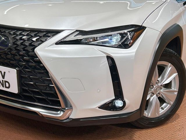 TOYOTA LEXUS UX250H 2019 Image 31
