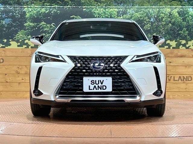 TOYOTA LEXUS UX250H 2019 Image 31