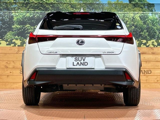 TOYOTA LEXUS UX250H 2019 Image 31