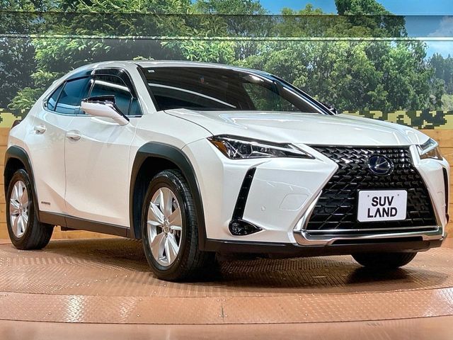 TOYOTA LEXUS UX250H 2019 Image 31