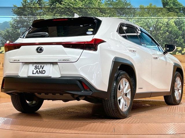 TOYOTA LEXUS UX250H 2019 Image 31