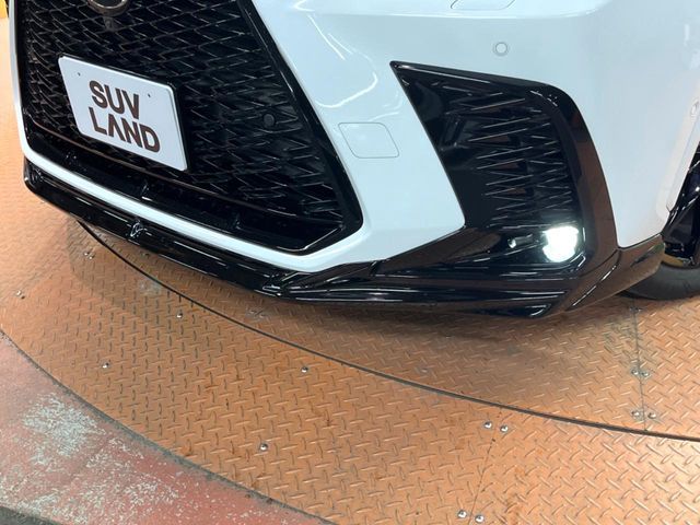 TOYOTA LEXUS NX350H 2023 Image 31