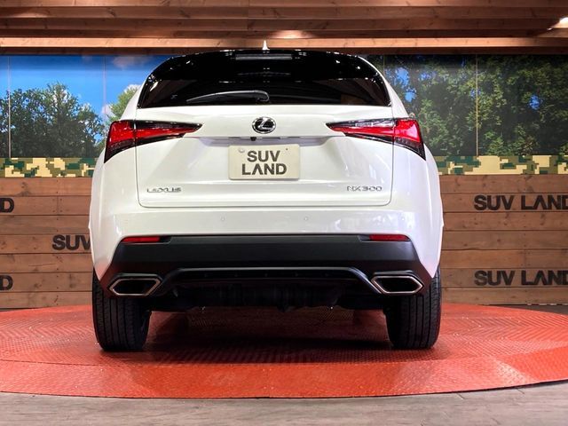 TOYOTA LEXUS NX300 2020 Image 31