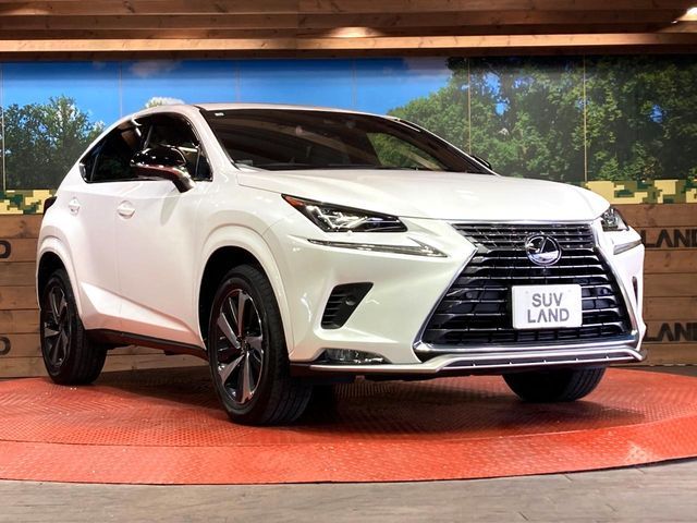 TOYOTA LEXUS NX300 2020 Image 31
