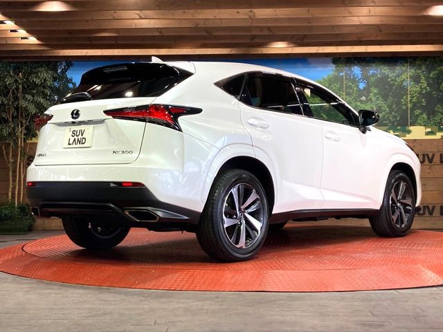 TOYOTA LEXUS NX300 2020 Image 31