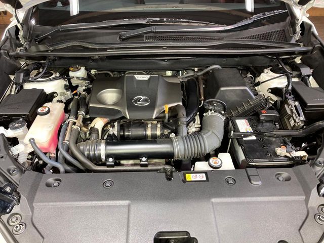 TOYOTA LEXUS NX300 2020 Image 31