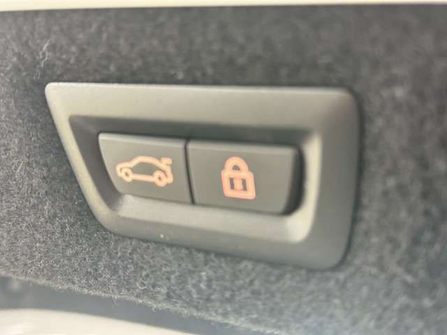 BMW 8SERIES 2019 Image 31