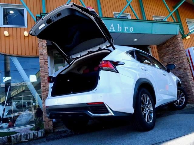 TOYOTA LEXUS NX300H 2018 Image 31